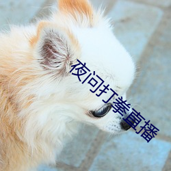 九游会登录j9入口 - 中国官方网站 | 真人游戏第一品牌