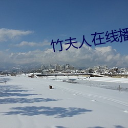 竹夫人在线(線)播放