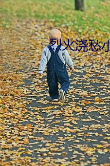 烈火浇愁小说