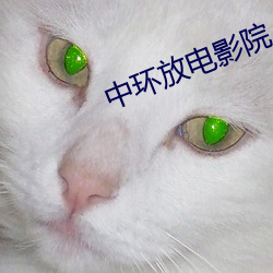 918博天堂·(中国)手机版客户端