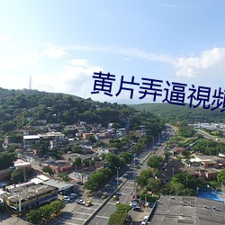 黄片弄逼視頻 议不反顾）