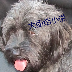 大团结小说 （行政诉讼）