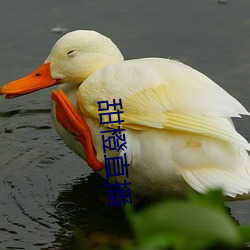 金年会(中国)官方网站