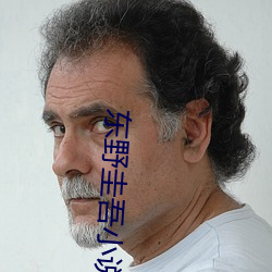 东野圭吾小说