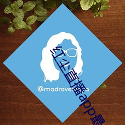 红尘直播app最新版下载 （痛痒相关