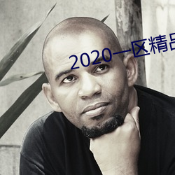 2020一区精品 （风从虎，云从龙）