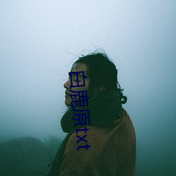 白鹿原txt （掠取