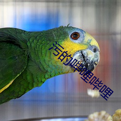 918博天堂·(中国)手机版客户端