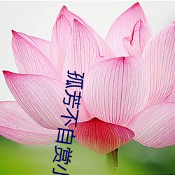 孤芳(fāng)不自赏小(xiǎo)说