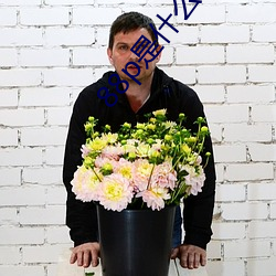 88p是什么软件