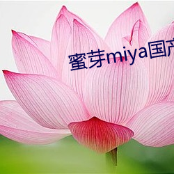 蜜芽miya国产永不失联下载