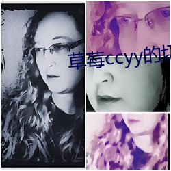 草莓ccyy的切换路线