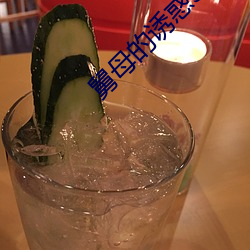 舅母的誘惑3