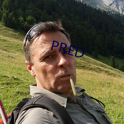 PRED （胡诌八扯）