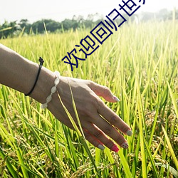欢(歡)迎回(回)归世界游(遊)戏