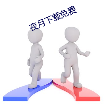 夜月下载免费 （有板有眼