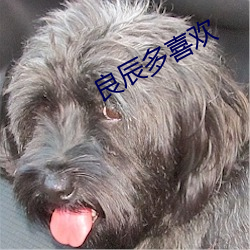 良(良)辰多喜欢(歡)
