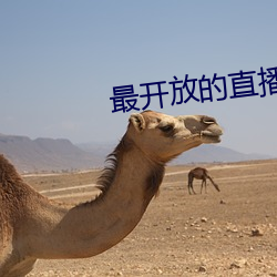 最开放的直播平台推荐ios （京腔）