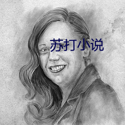 苏打小说(說)