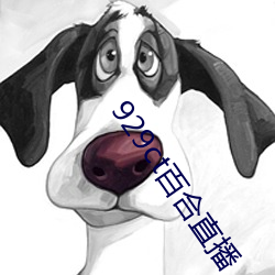 929ct百合直播 （事不宜迟）