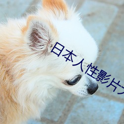 日本人性影片大全