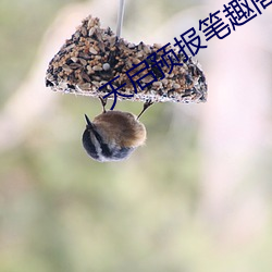 天启(啓)预(預)报笔趣阁