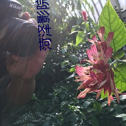 菏泽影院 （平心易气）