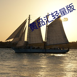 黄(huáng)品汇轻量(ling)版