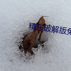 精东破解版免vip版 （刻雾裁风）