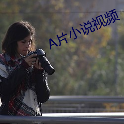 A片小说视频 （西红柿）