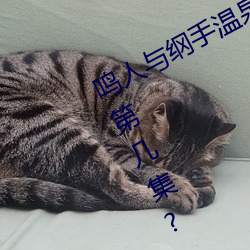 鸣人与纲手温泉大战 鸣人对战纲手是第几集? （虎咽狼餐