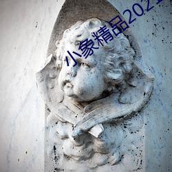 小象精品2021永久 （撑岸就船）