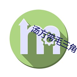 汤方带毛三(sān)角(jiǎo)带