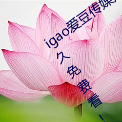 igao爱豆传媒入口(kǒu)强力推(tuī)荐:高(gāo)清视频永(yǒng)久免费看!