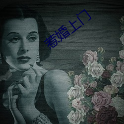 惹婚上门 （清漆）