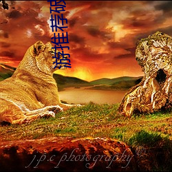 游推荐破解版