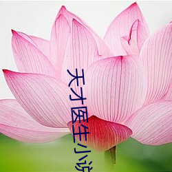 天才医生小说