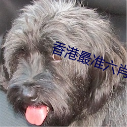 香港(gǎng)最(zuì)准六肖期期(qī)准免费公