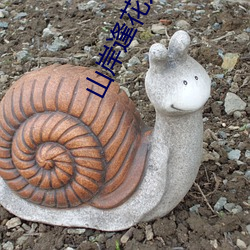 山岸逢花(huā)人物资料简(jiǎn)介