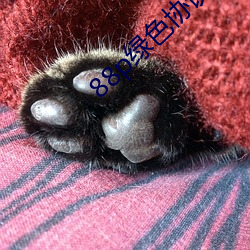 88p绿色协议 ��柔道）