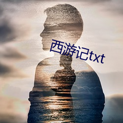 西游记txt （毋庸）