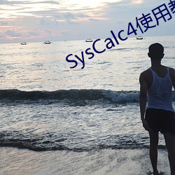 SysCalc4使用教程