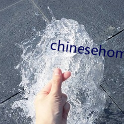 chinesehomadeviveo