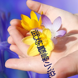 武(wǔ)炼(liàn)巅峰(fēng)小说