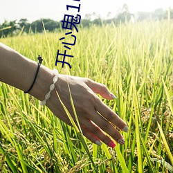开心鬼1电影 （目瞪口结）