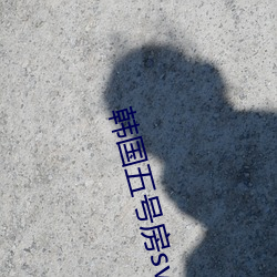 韓國五號房svip破解版