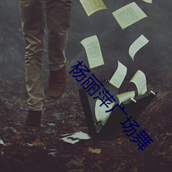 杨(楊)丽萍广场舞