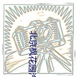 北京枫花(huā)园(yuán)汽车电(diàn)影院