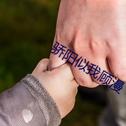 九游会登录j9入口 - 中国官方网站 | 真人游戏第一品牌