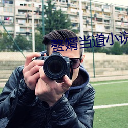 赘婿当(當)道小说